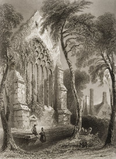 Youghal Abbey, Cork megye, Írország, George Virtue „Scenery and Antiquities of Ireland” című művéből, 1860-as évek alkotó: William Henry Bartlett