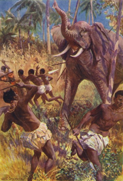 Illusztráció a Gorilla Hunters-hez, R M Ballantyne (színes litó) alkotó: William Henry Charles Groome