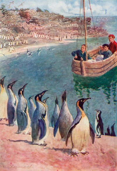 Meglepetéssel és örömmel néztük a madarakat, ők érdeklődéssel viszonozták a tekintetünket alkotó: William Henry Charles Groome