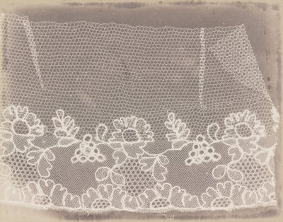 Csipke alkotó: William Henry Fox Talbot