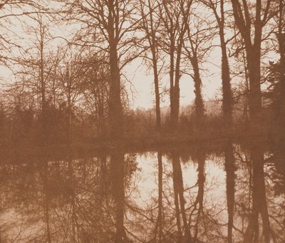 Tükörképek, 1843 (szepia fotó) alkotó: William Henry Fox Talbot