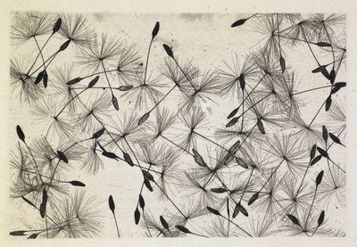 Talbot fotó 24 1730 alkotó: William Henry Fox Talbot