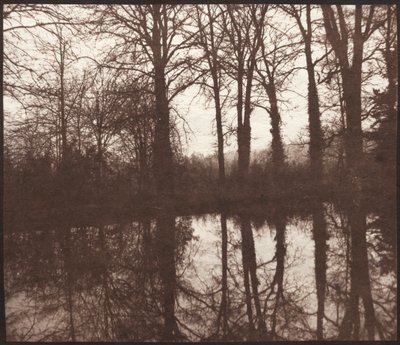 Téli fák tükröződnek egy tóban, 1841-42. alkotó: William Henry Fox Talbot