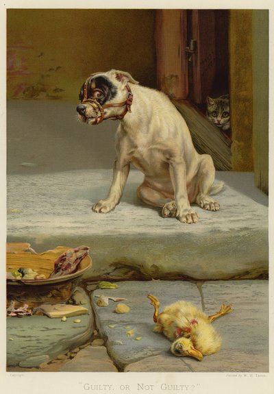 Bűnös vagy nem bűnös (chromolitho) alkotó: William Henry Hamilton Trood