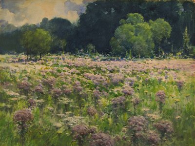 Joe Pie Weeds mezője A rét büszkesége, n.d. alkotó: William Henry Holmes