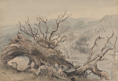 Egy kidőlt tölgyfa alkotó: William Henry Hunt