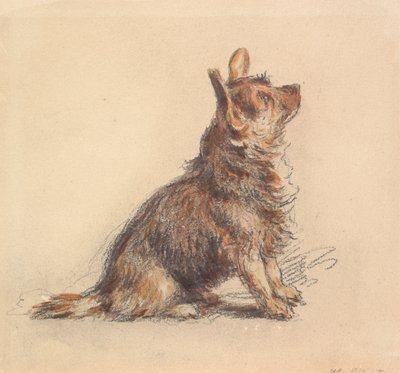 Ülő terrier, felfelé jobbra tekintve alkotó: William Henry Hunt