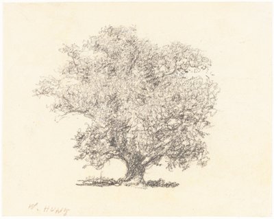 Egész levelű fa alkotó: William Henry Hunt