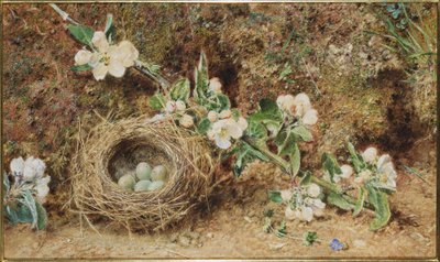 Madárfészek és virág alkotó: William Henry Hunt