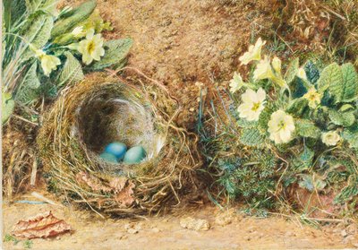 Madárfészek három kék tojással és kankalinnal alkotó: William Henry Hunt