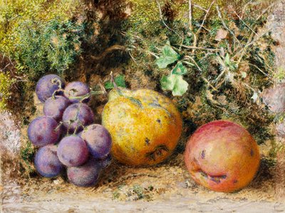 Fekete szőlő, birsalma és újvárosi Pippin, 1861 (wc a kártyán) alkotó: William Henry Hunt