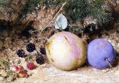 Csipkebogyó, szeder és szilva alkotó: William Henry Hunt