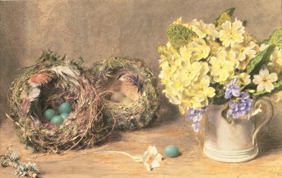 Tavaszi virágok és madárfészkek, 1830 körül (akvarell és testfesték papíron) alkotó: William Henry Hunt