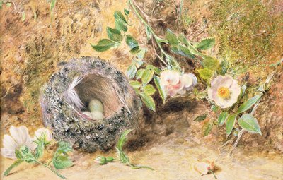 Csendélet Chaffinch Nest-el alkotó: William Henry Hunt