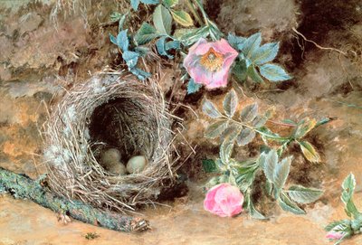 Vadrózsák és Madárfészek alkotó: William Henry Hunt