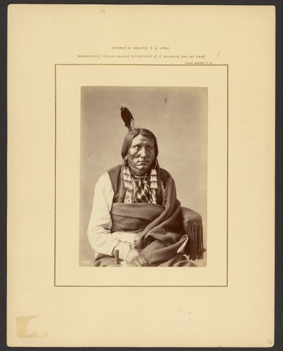 [Támadás a Hauknál - (Brulé Dakota)] alkotó: William Henry Jackson