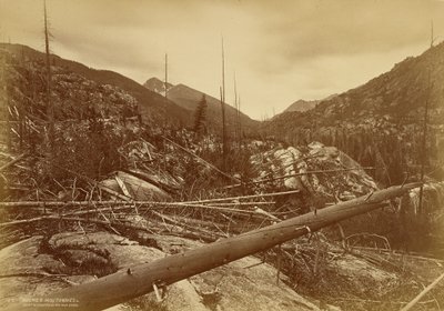  alkotó: William Henry Jackson
