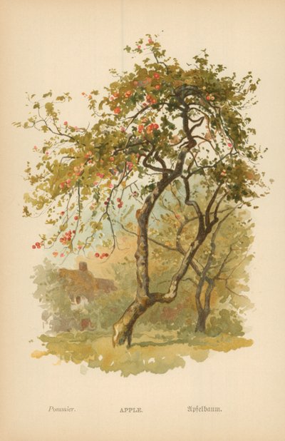 alma alkotó: William Henry James Boot