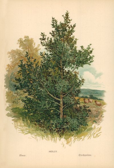 Magyal alkotó: William Henry James Boot