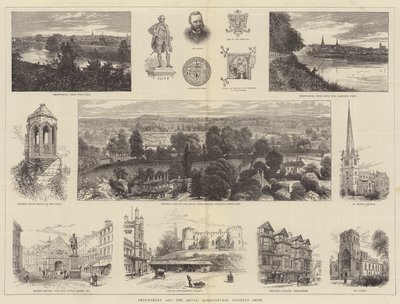 Shrewsbury és a Királyi Mezőgazdasági Társaság kiállítása alkotó: William Henry James Boot