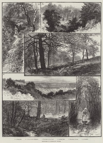 Vázlatok Highgate Woodsban alkotó: William Henry James Boot