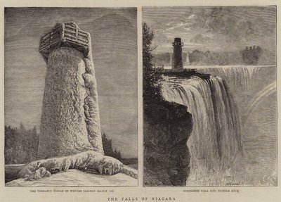 A Niagara-vízesés alkotó: William Henry James Boot