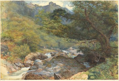 East Lynben, Észak-Devonban alkotó: William Henry Millais