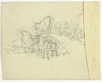 Szarvasmarha (recto); A sarlatán (fordítva) alkotó: William Henry Pyne