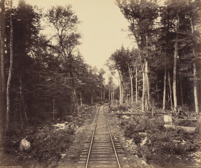 Ganoga Lake Branch, 1895 körül (fotó) alkotó: William Herman Rau