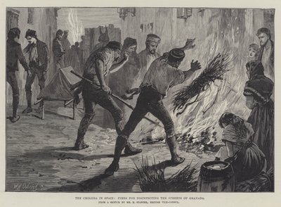 A kolera Spanyolországban, tüzek Granada utcáinak fertőtlenítéséért alkotó: William Heysham Overend
