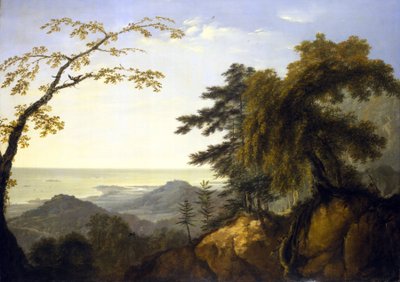 Új-Kaledónia szigetének látképe alkotó: William Hodges