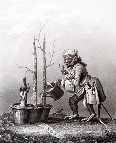 Farokdarab a művészkatalógushoz alkotó: William Hogarth