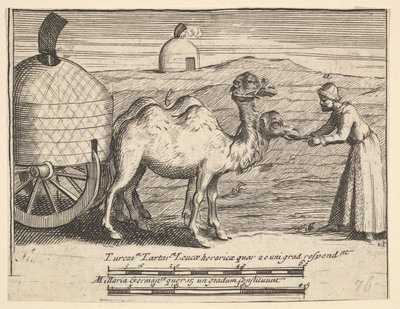 Két dromedár Aubry de La Mottrayes Európa-szerte, Ázsiában és a ... részbe utazik, 1723-24. alkotó: William Hogarth