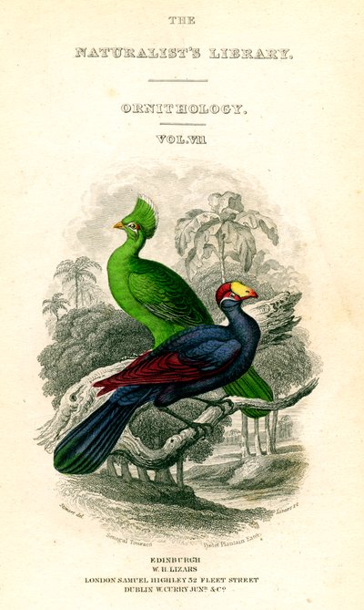 The Naturalists Library, Ornithology, Senegal Touraco, Violet Plantain Eater, 1833-1865. alkotó: William Home Lizars