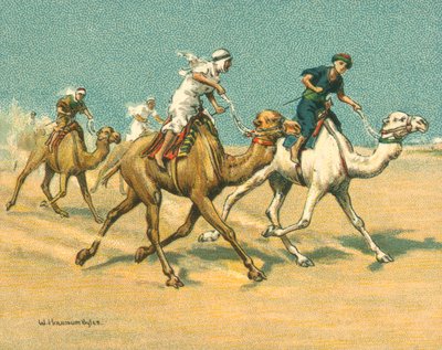 Történelmi és modern versenyek, tevefajták (chromolitho) alkotó: William Hounsom Byles
