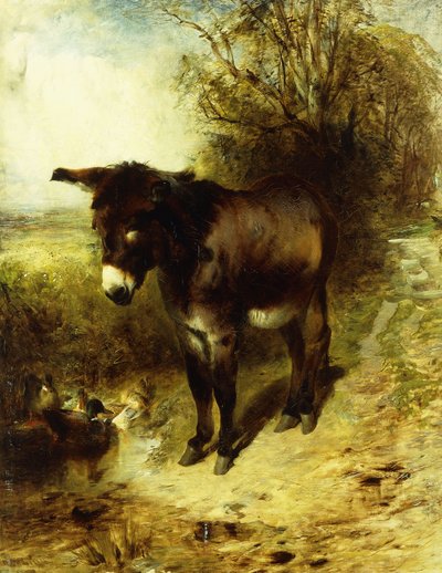 Egy Brown tanulmány, 1853 alkotó: William Huggins