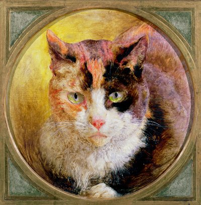 Tanulmány egy teknőshéjú macskáról, 1866 alkotó: William Huggins