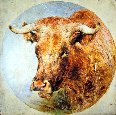 Egy hosszúszarvú tehén feje alkotó: William Huggins