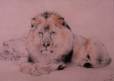 Oroszlán és Oroszlánné alkotó: William Huggins