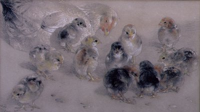 Tanulmány a csirkékről alkotó: William Huggins