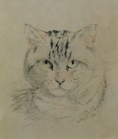 Cirmos macska, 1874 (ceruza, zsírkréta és szén papíron) alkotó: William Huggins