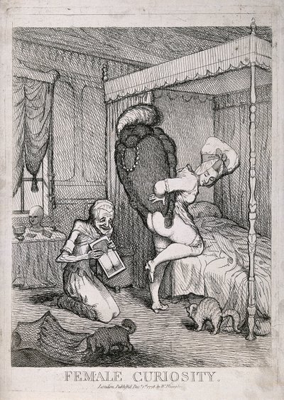 Női kíváncsiság alkotó: William Humphrey