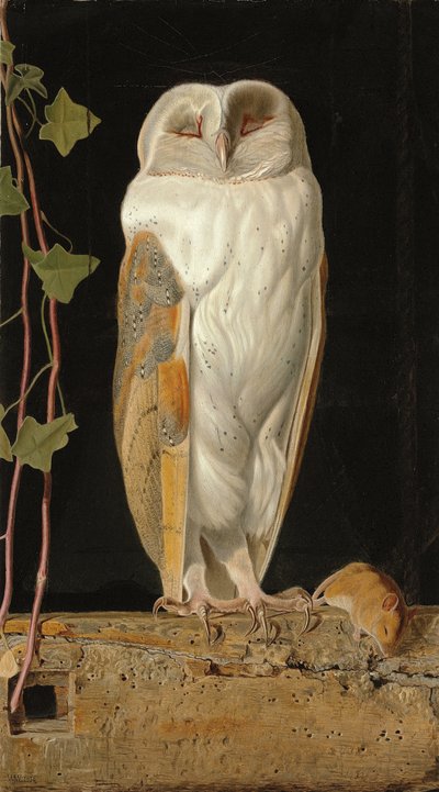 A fehér bagoly: "Egyedül és öt eszét melegítve ül a fehér bagoly a haranglábban", 1856 alkotó: William J. Webbe