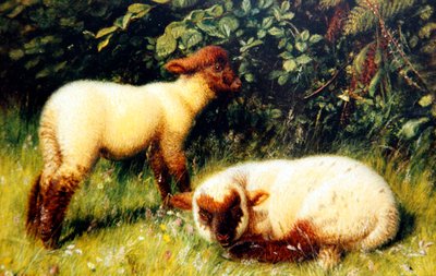 Juh, 1860 körül (olaj, fedélzeten) alkotó: William J. Webbe or Webb