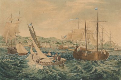Karantén, Staten Island, 1833. alkotó: William James Bennett