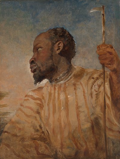 Egy rabszolgasorba esett afrikai alkotó: William James Muller