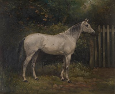 Pácok: Basuto póni, 1904 körül (olaj, vászon) alkotó: William Josiah Redworth