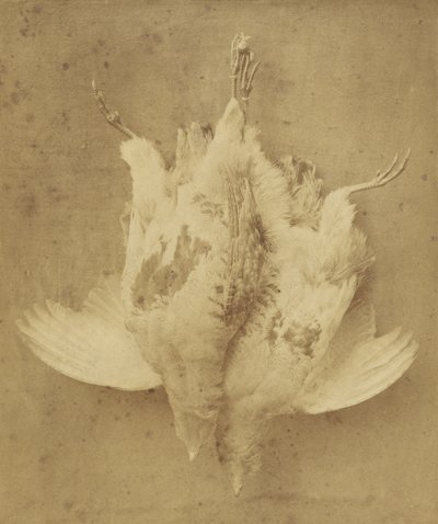 Szeptember elseje alkotó: William Lake Price