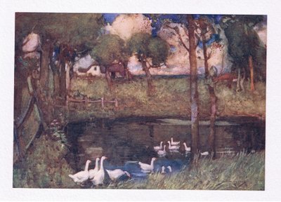 A zajos libák, amelyek a medencében tornyosultak (színes litó) alkotó: William Lee Hankey