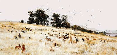 A Rookery, 1889 körül (olaj, vászon) alkotó: William Lionel Wyllie
